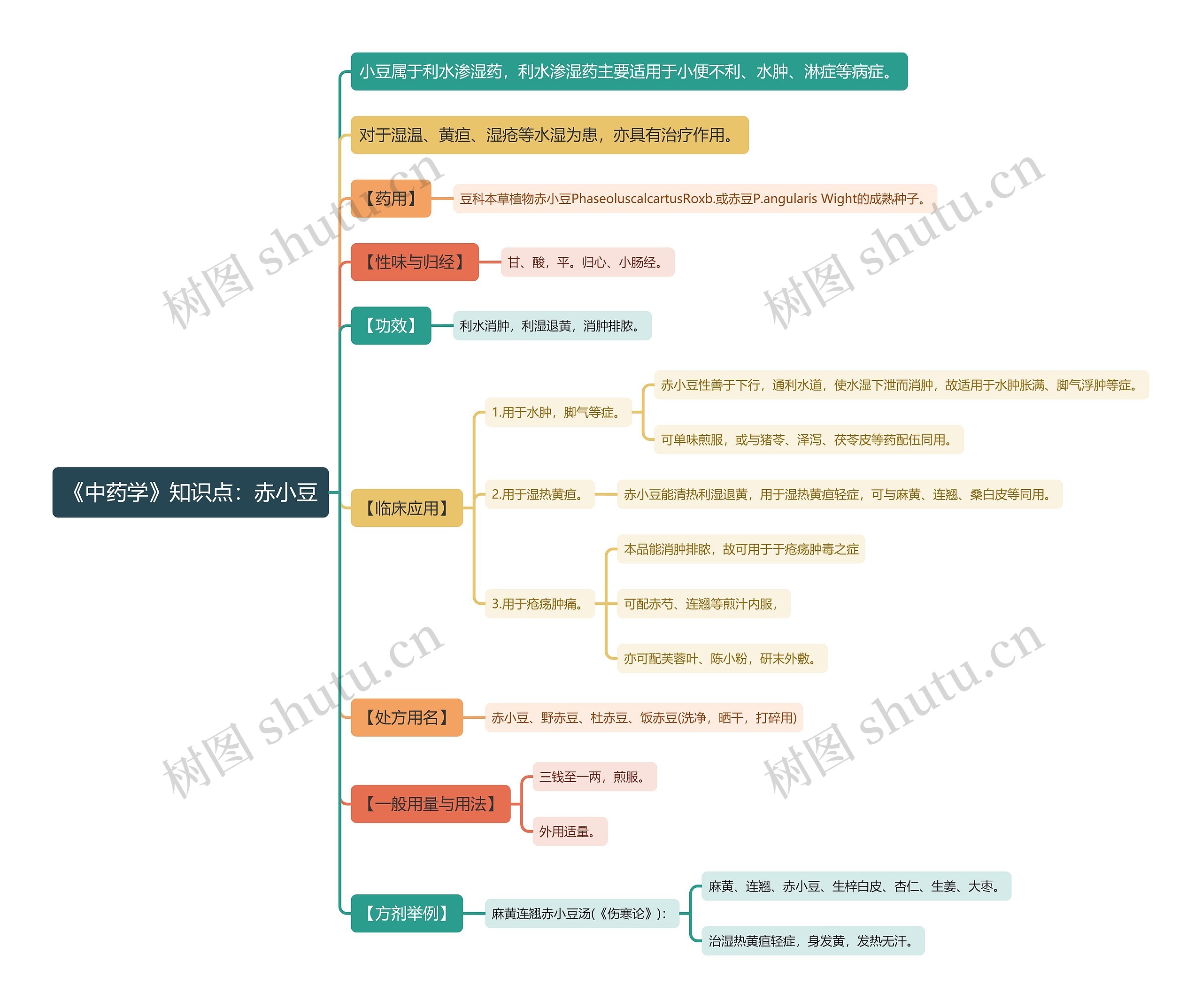 《中药学》知识点：赤小豆思维导图