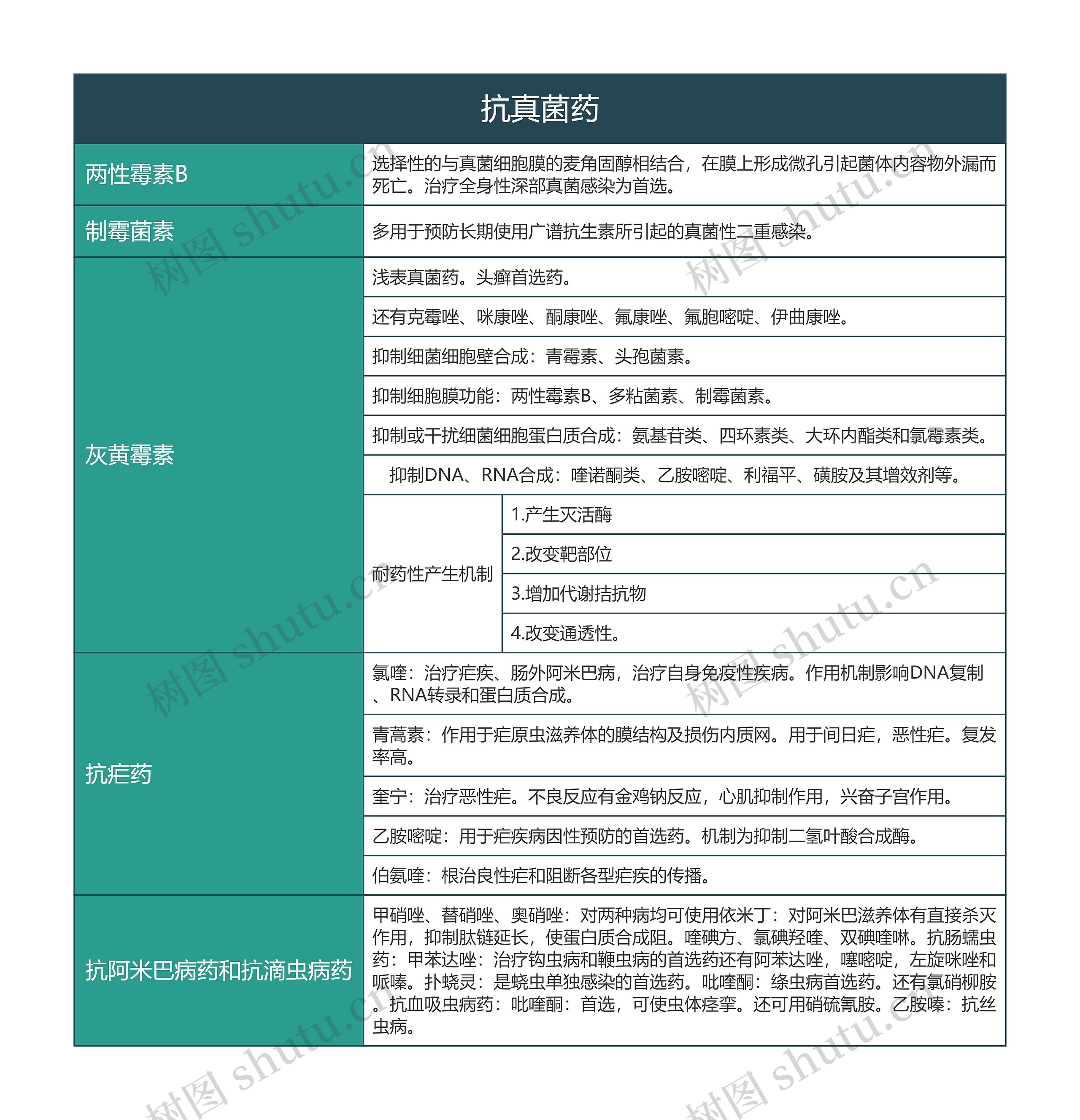 抗真菌药的思维导图