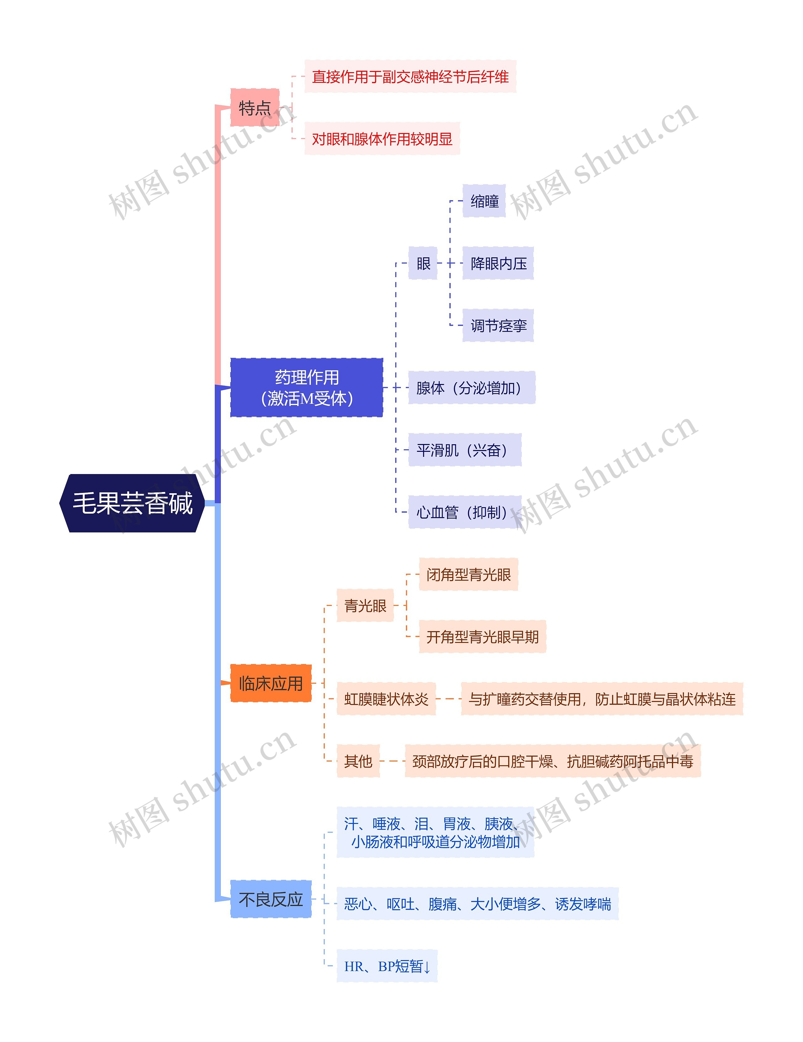 医学知识毛果芸香碱思维导图