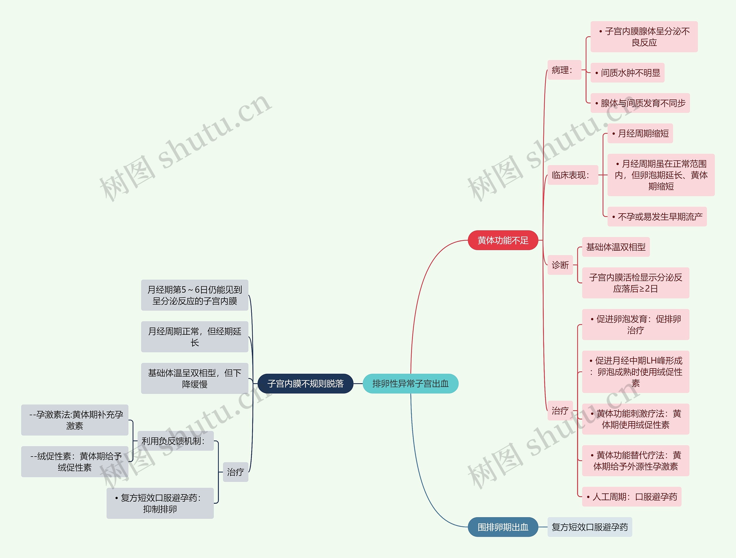 医学知识排卵性异常子宫出血思维导图