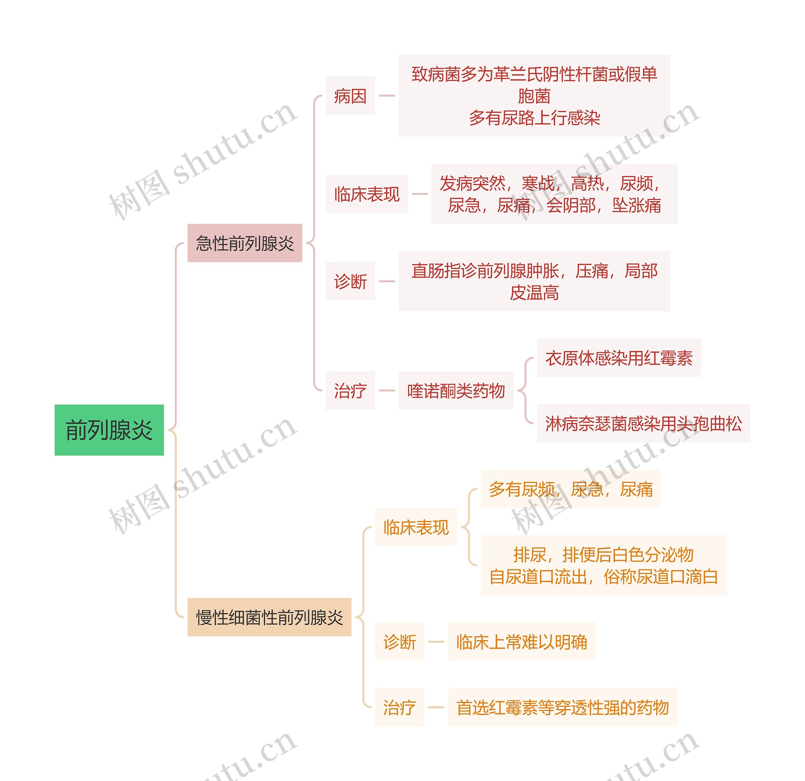 内科学知识前列腺炎思维导图