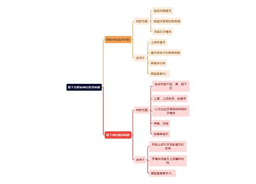 医学知识眶下及腭前神经阻滞麻醉思维导图
