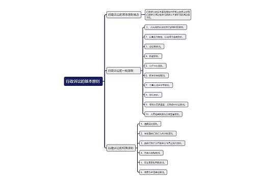行政诉讼的基本原则思维导图