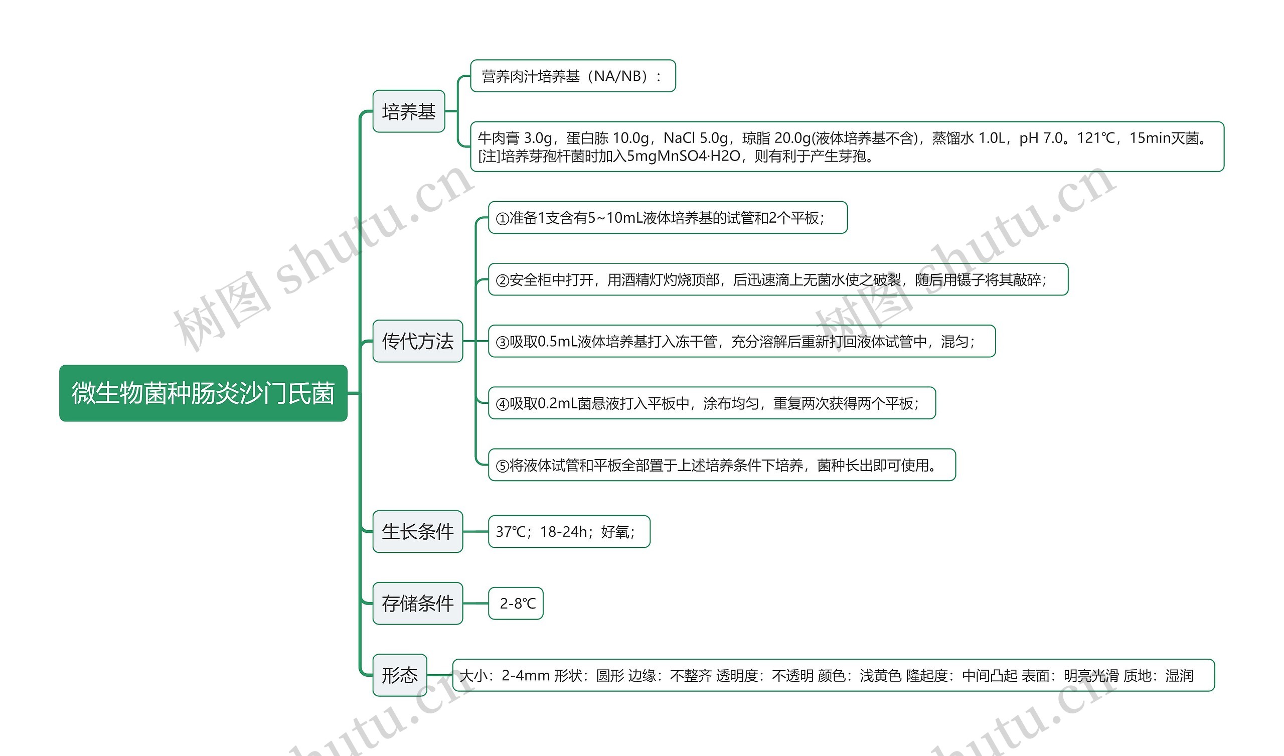 微生物菌种肠炎沙门氏菌思维导图