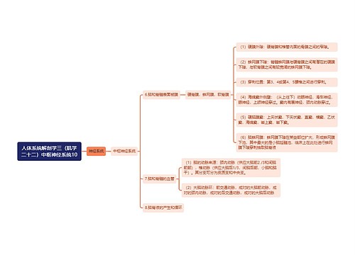 《人体系统解剖学三（肌学二十二）中枢神经系统10》思维导图