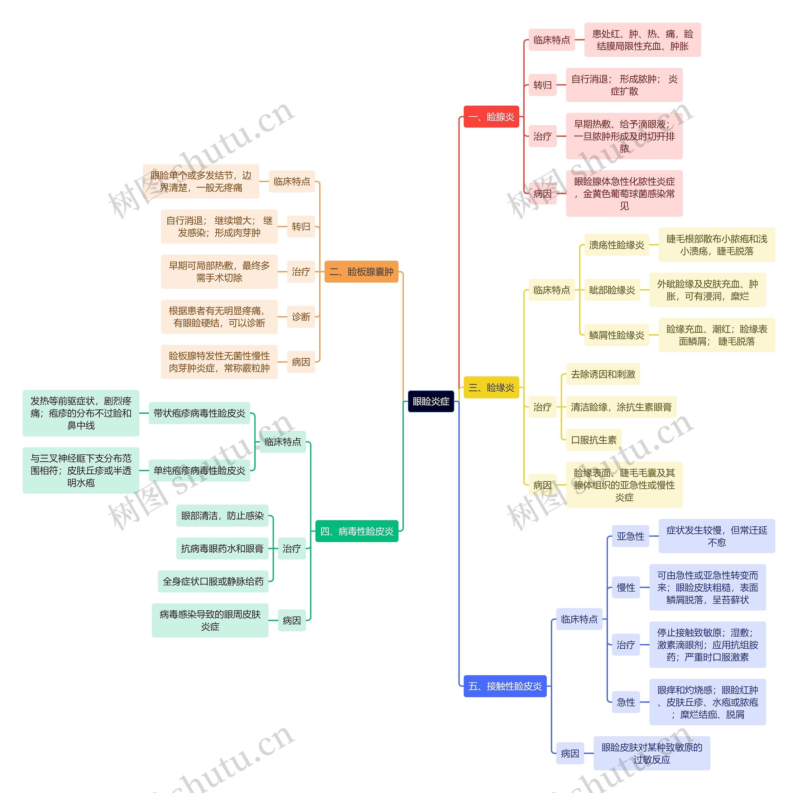 医学知识眼睑炎症思维导图