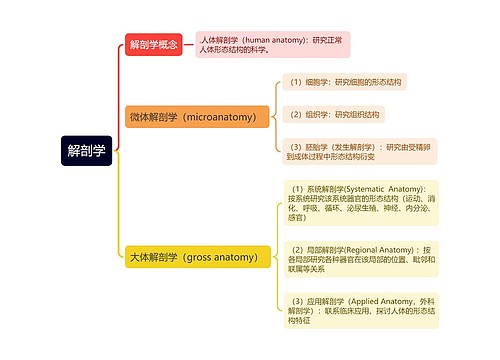 ﻿解剖学思维导图