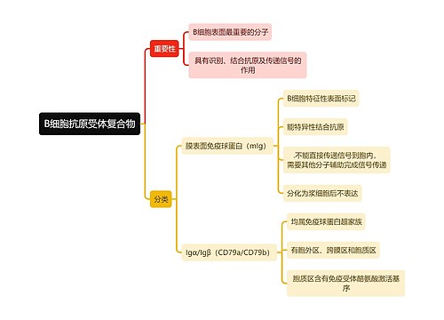 医学知识B细胞抗原受体复合物思维导图