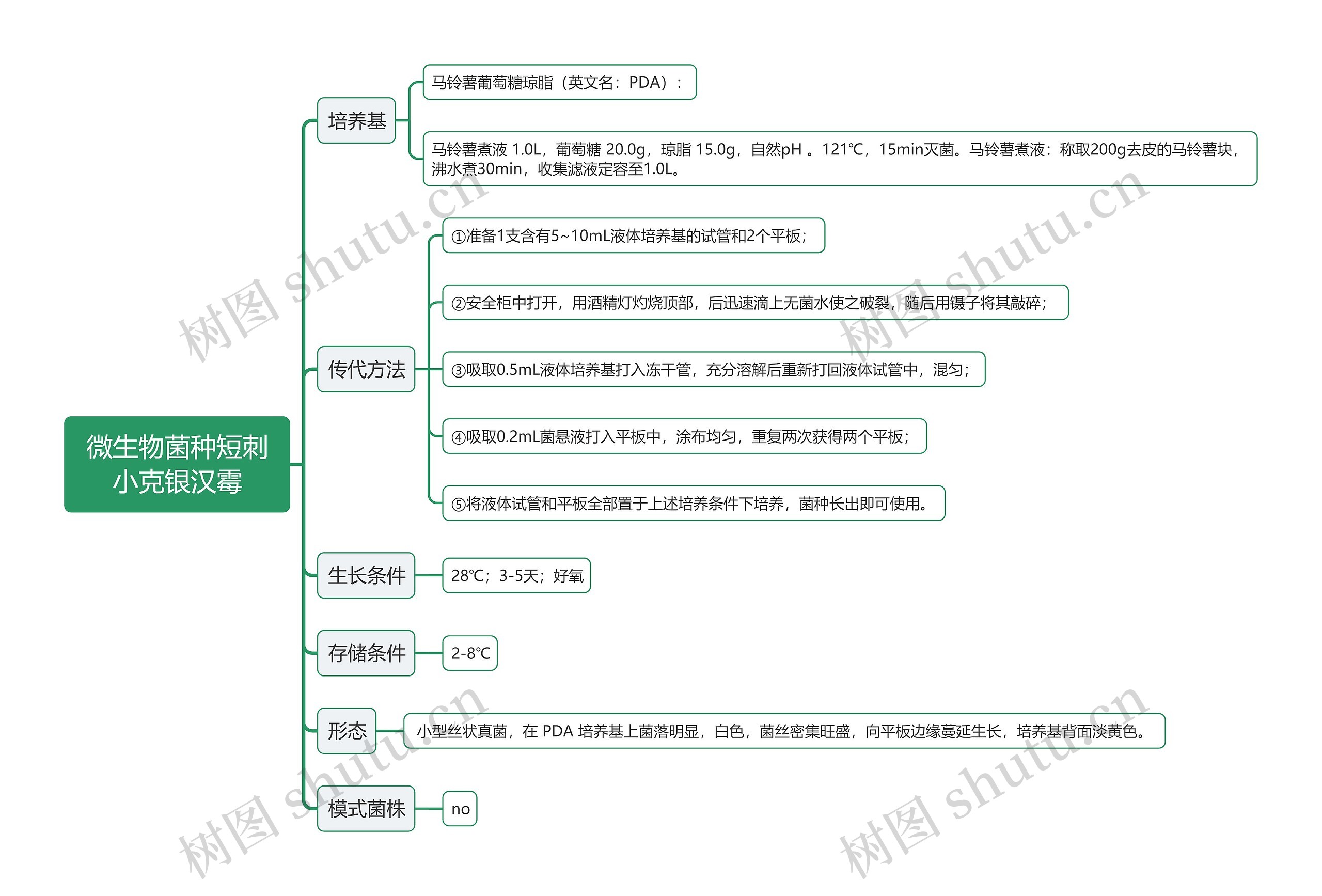 微生物菌种短刺小克银汉霉思维导图