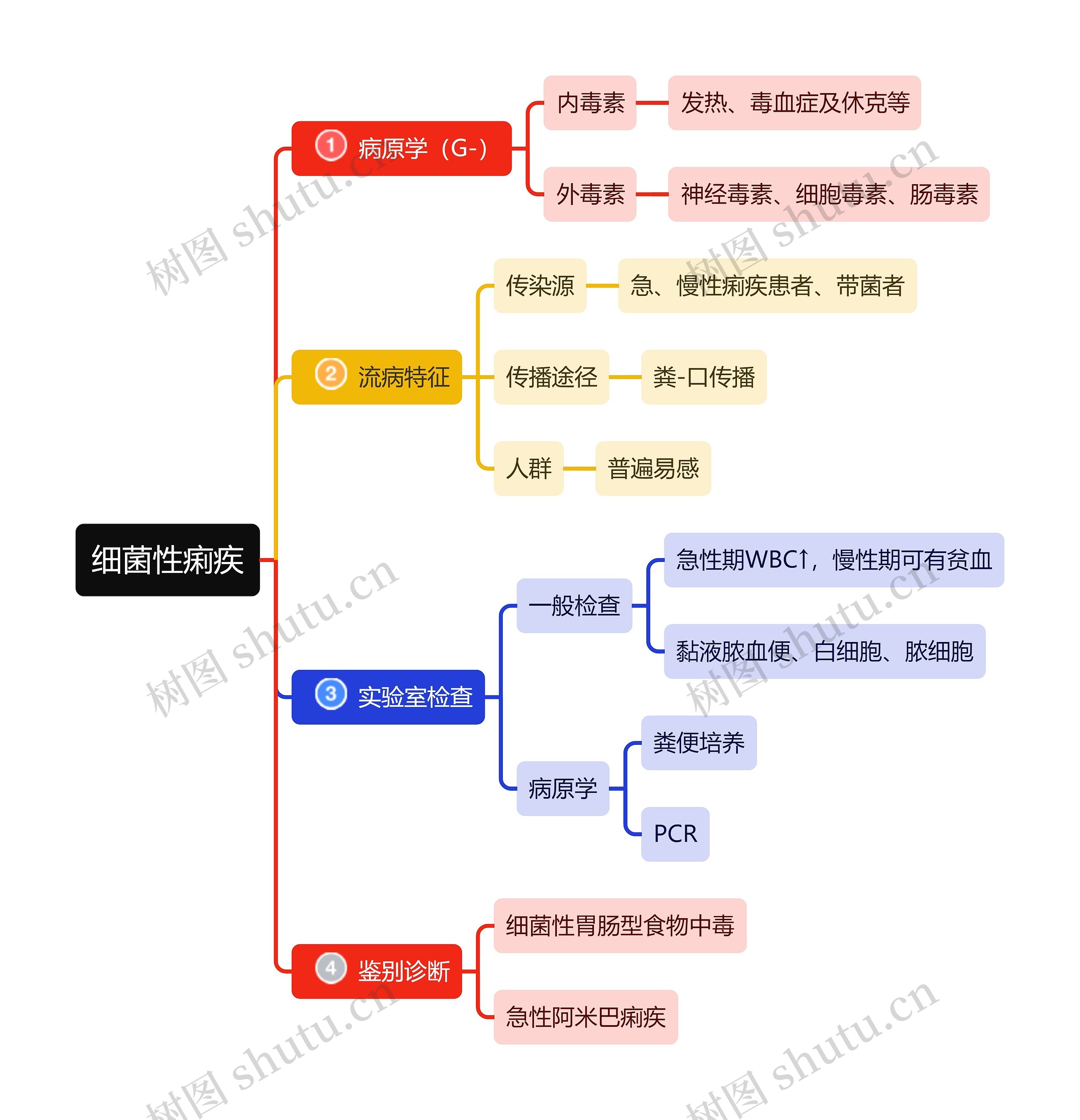 医学知识细菌性痢疾诊断思维导图