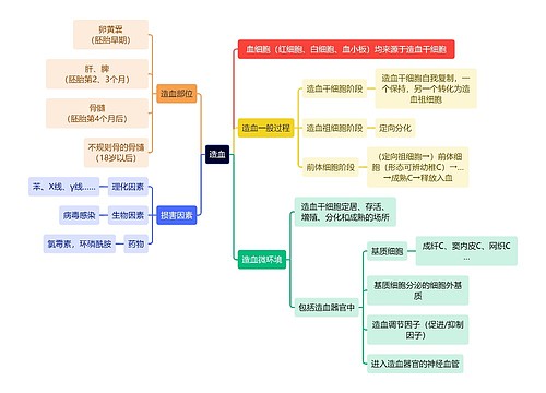 医学知识造血思维导图