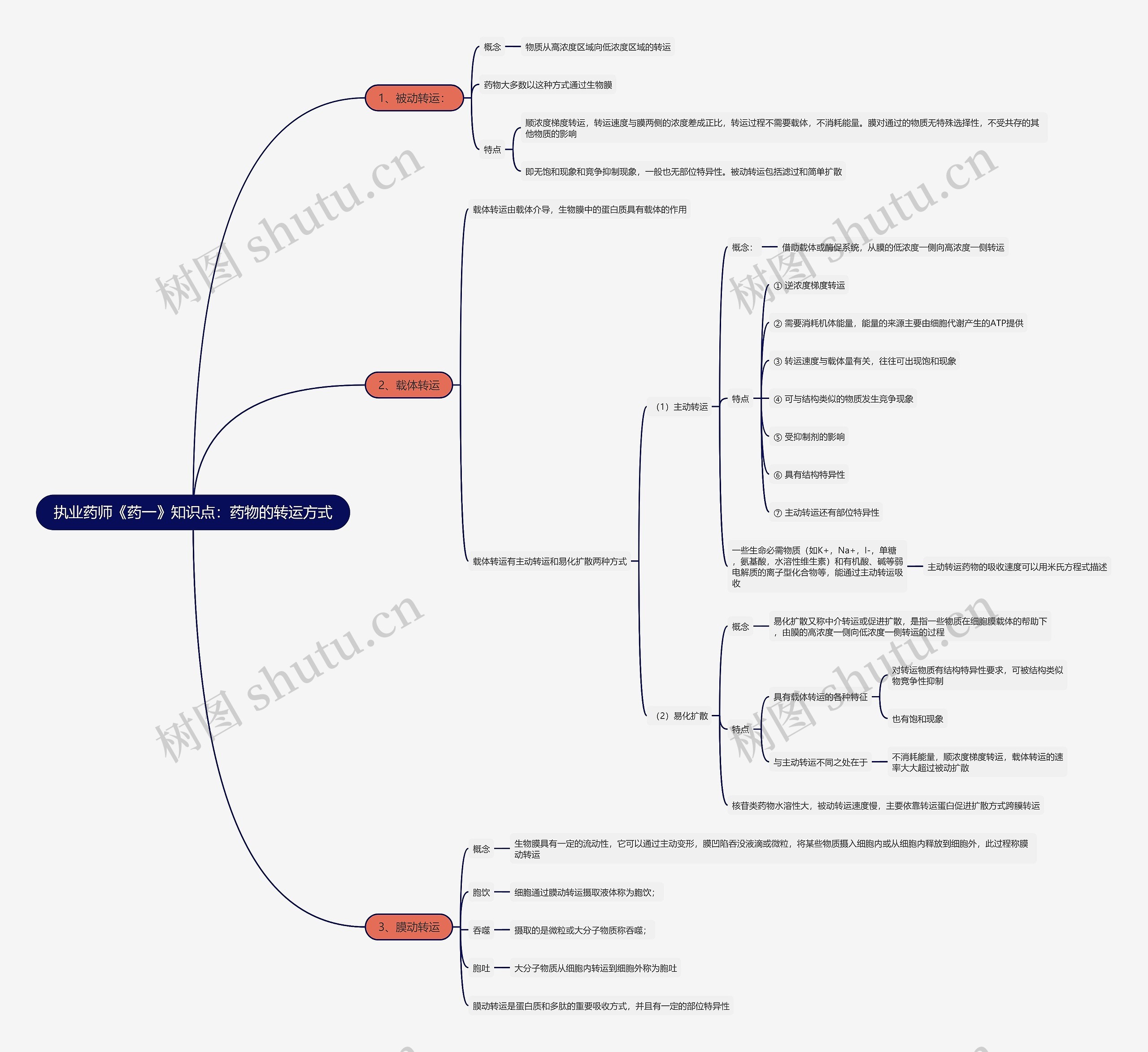 执业药师《药一》知识点：药物的转运方式思维导图
