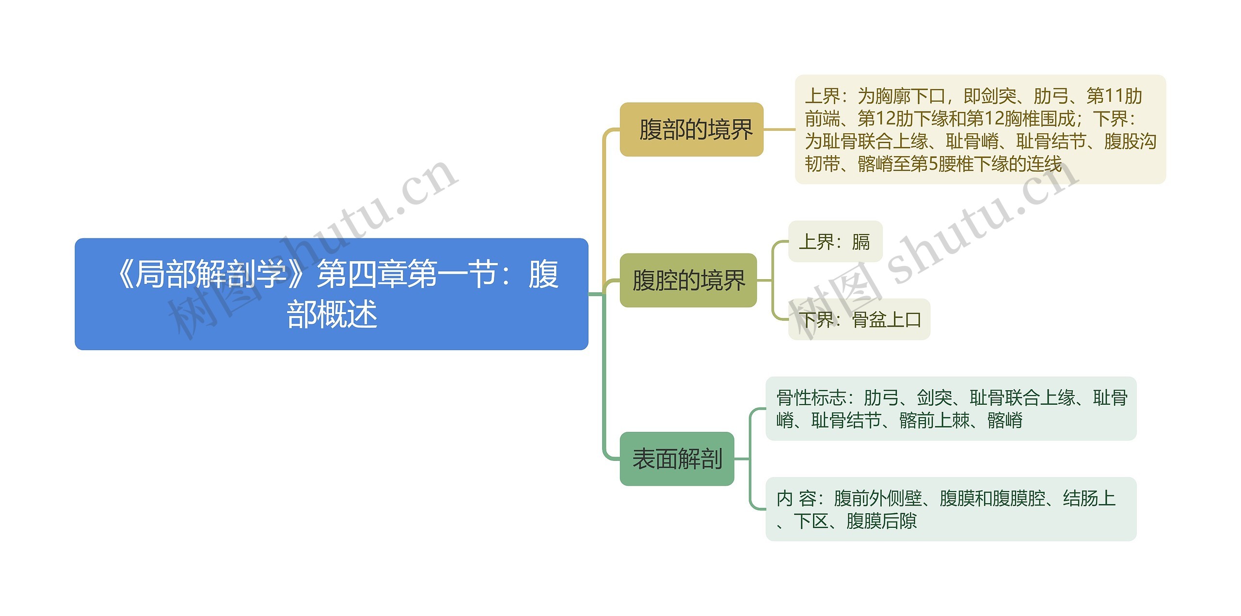 《局部解剖学》第四章第一节：腹部概述