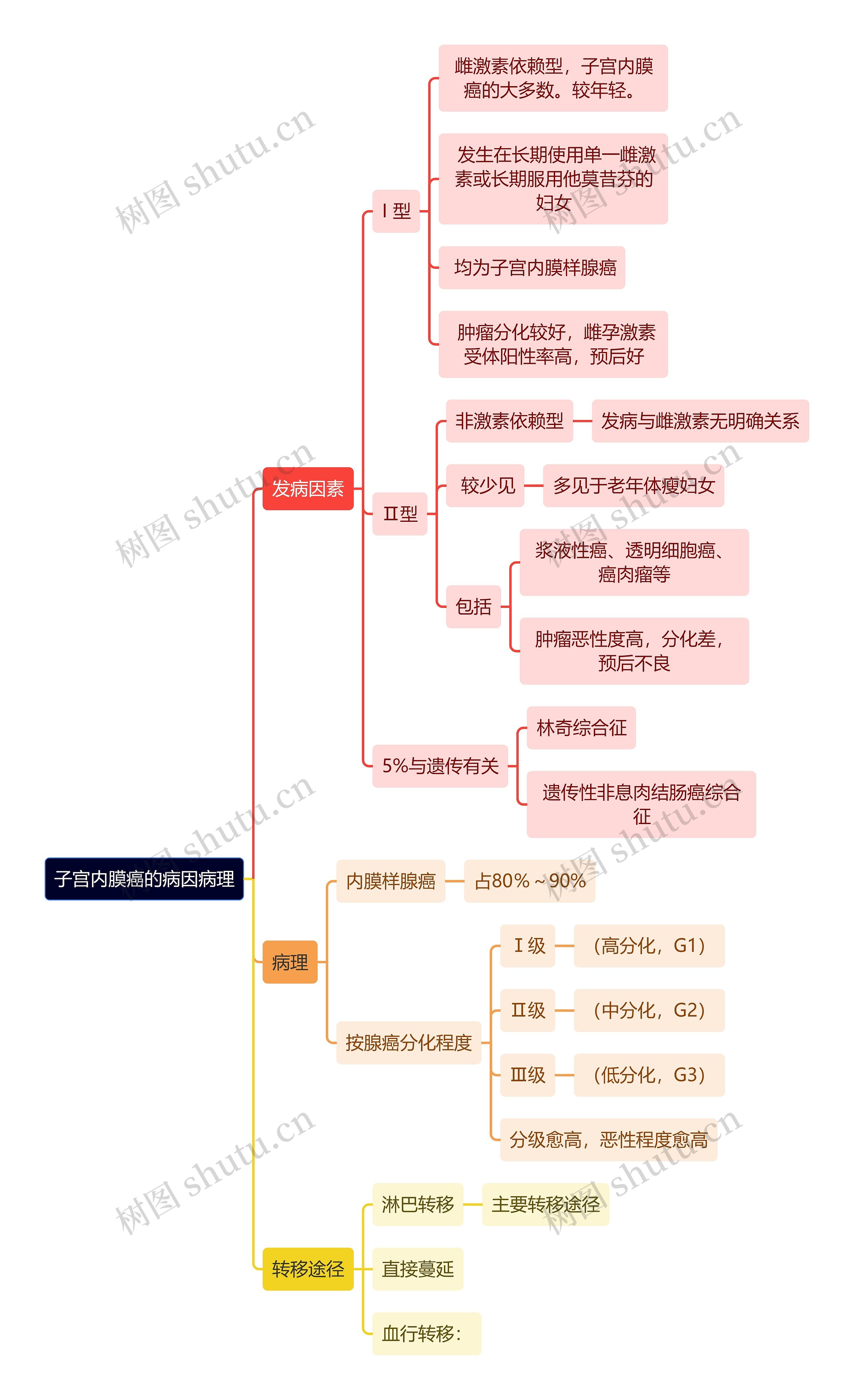 医学知识子宫内膜癌的病因病理思维导图