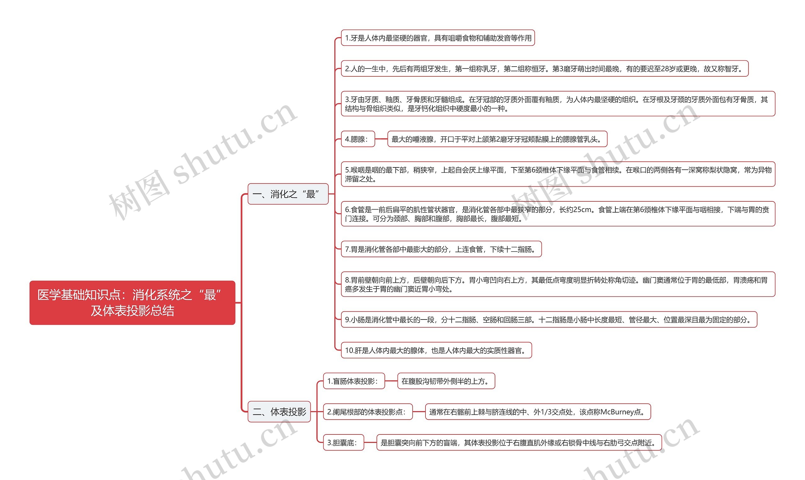 医学基础知识点：消化系统之“最”及体表投影总结思维导图