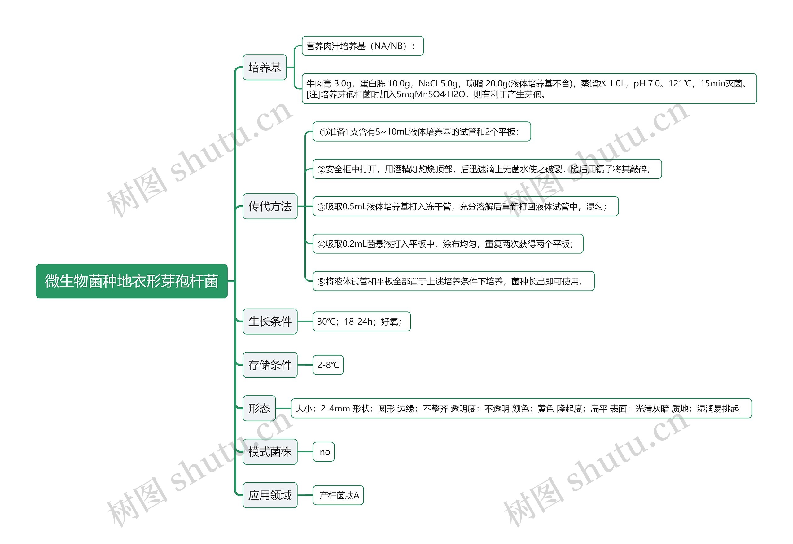 微生物菌种地衣形芽孢杆菌思维导图