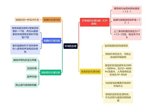 医学知识中耳的生理思维导图