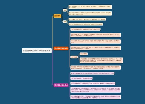 护士基础知识点：导尿管置留术