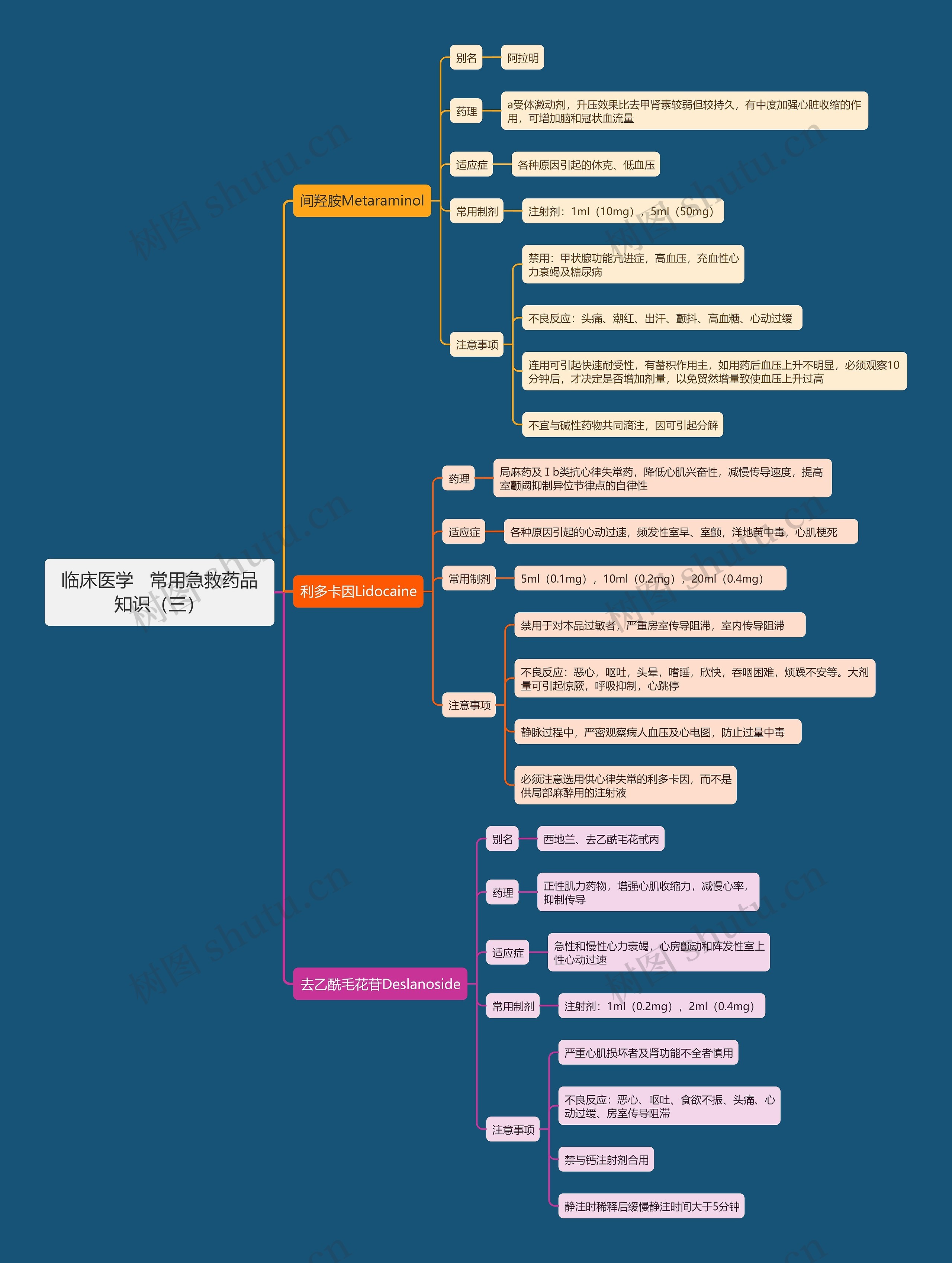 临床医学   常用急救药品知识（三）思维导图