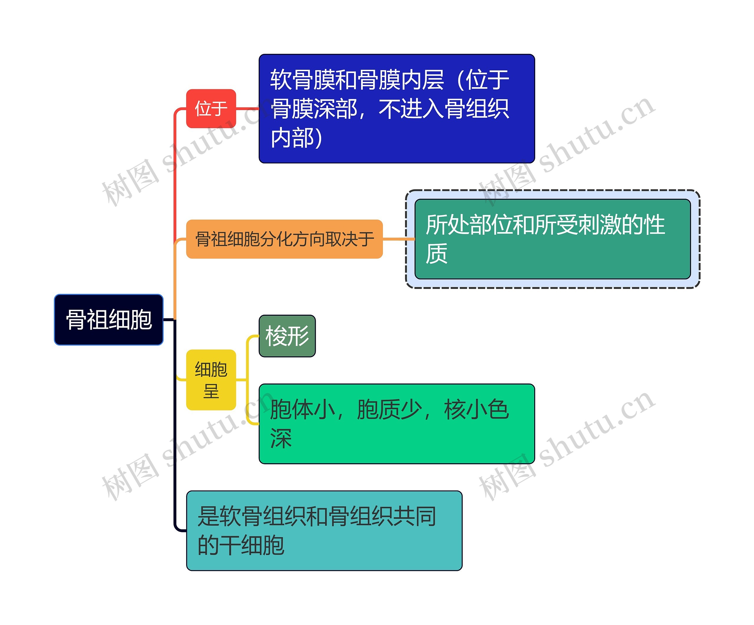 医学知识骨祖细胞思维导图