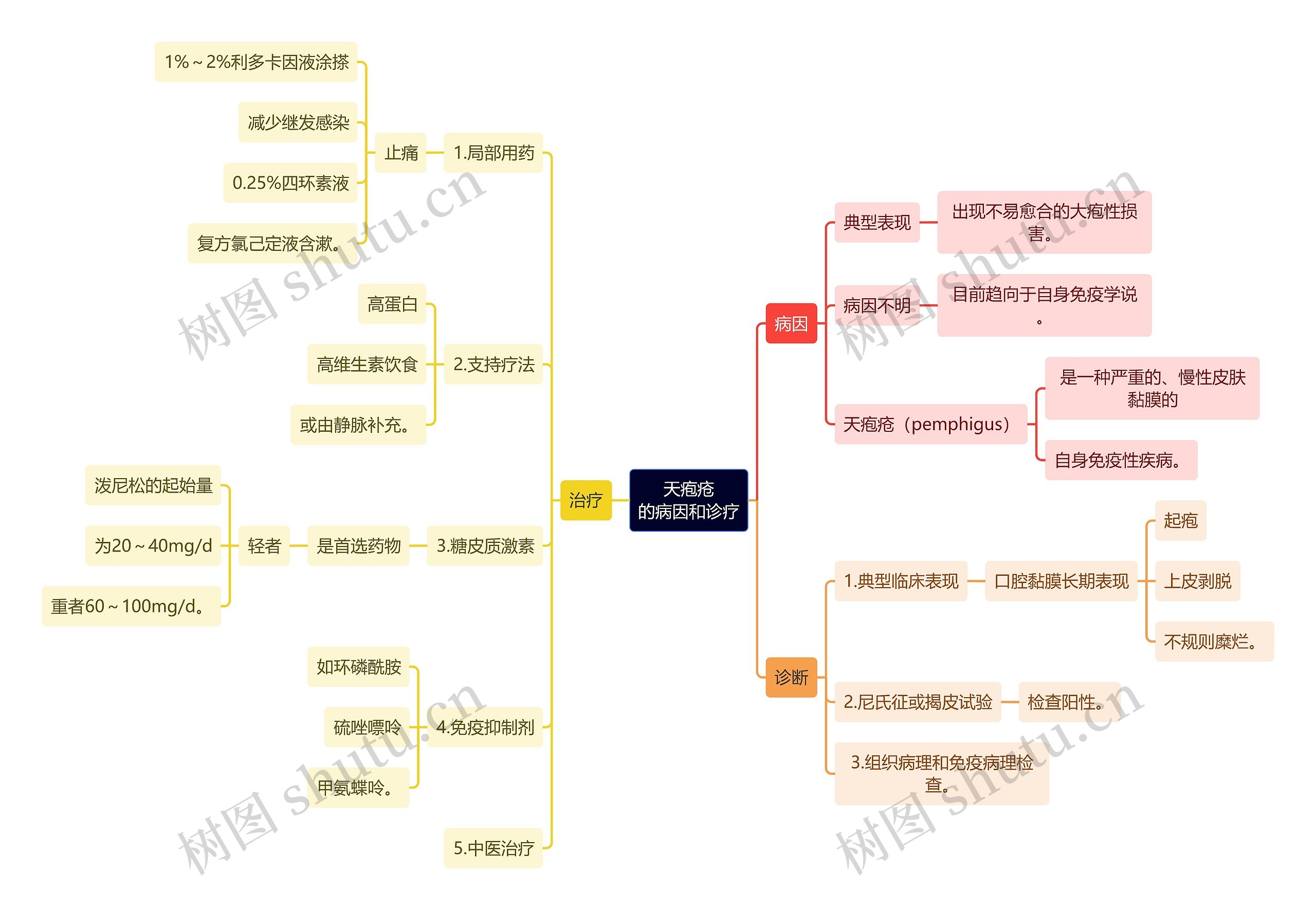 医学知识天疱疮的病因和诊疗思维导图