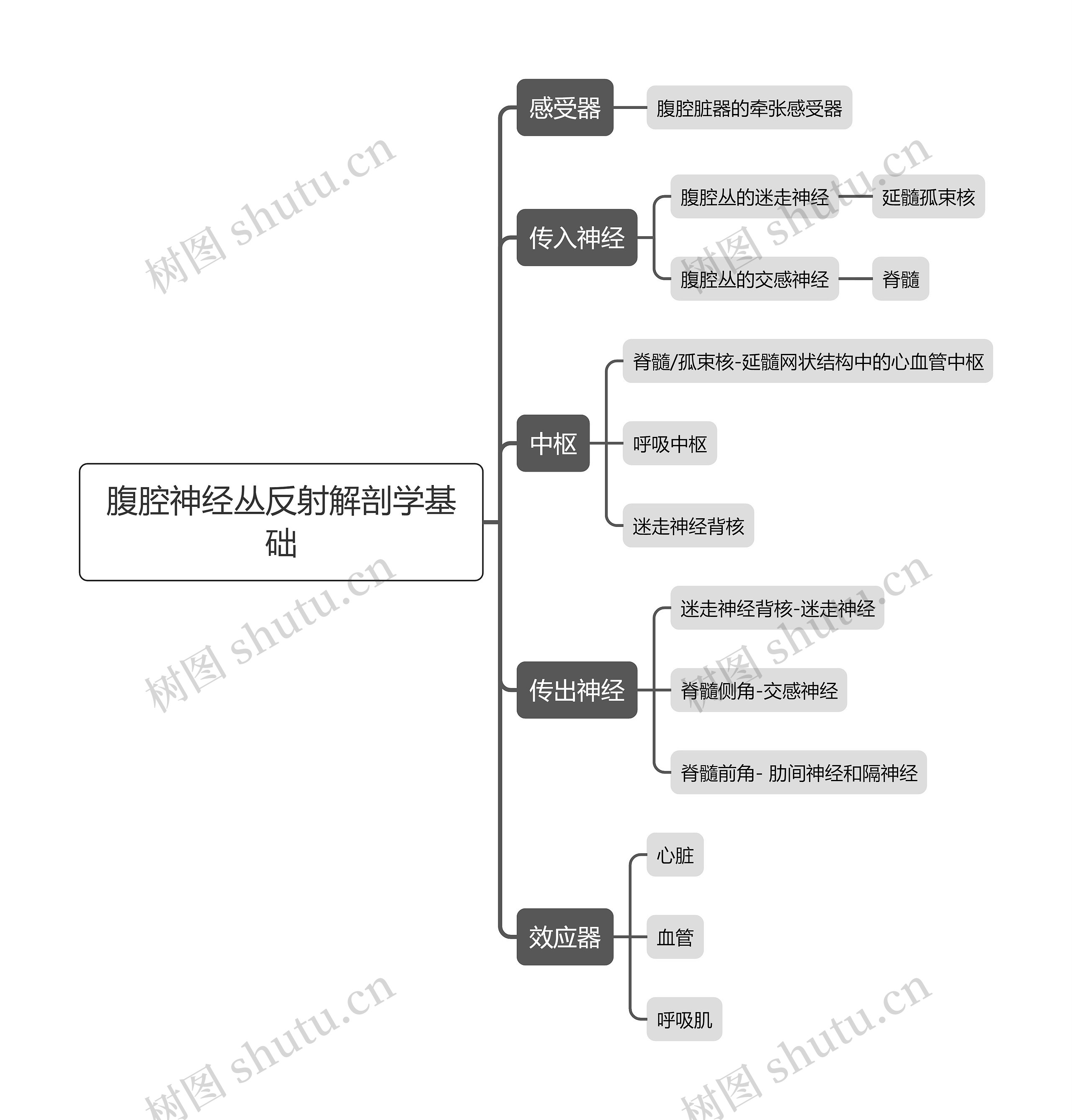 医学腹腔神经丛反射解剖学基础思维导图