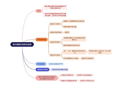 生化知识氧化磷酸化的影响因素思维导图
