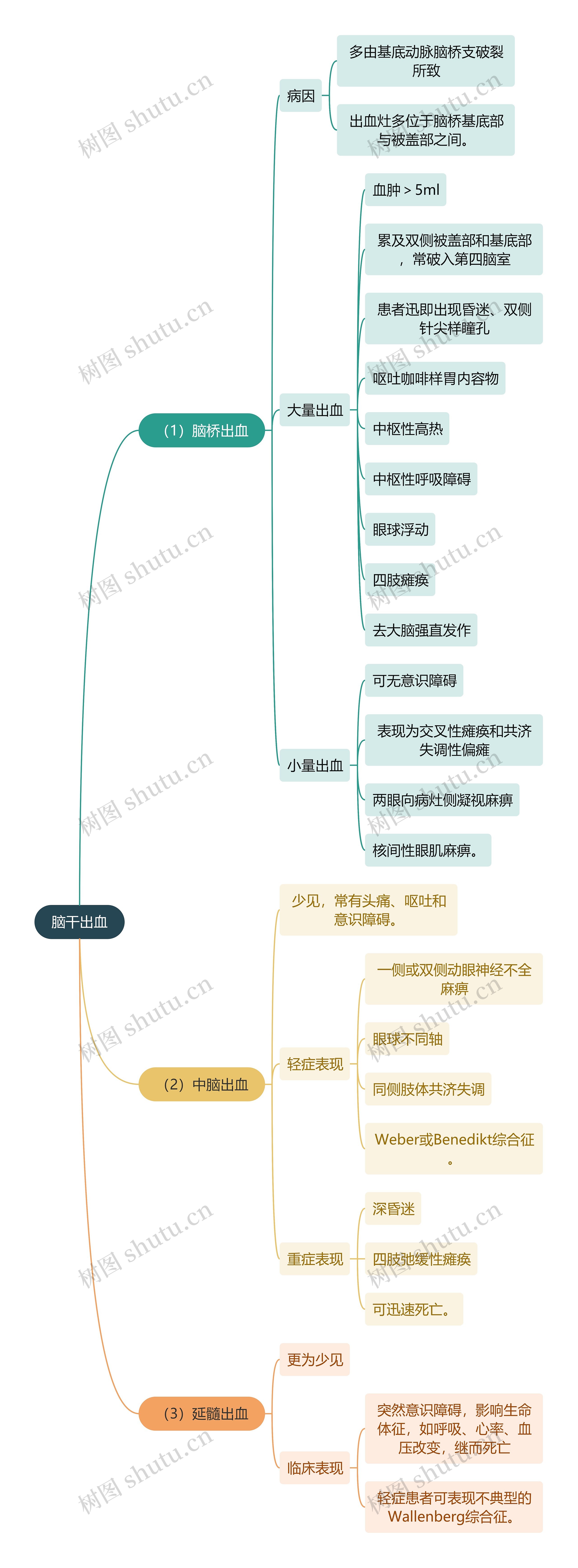 医学知识脑干出血思维导图