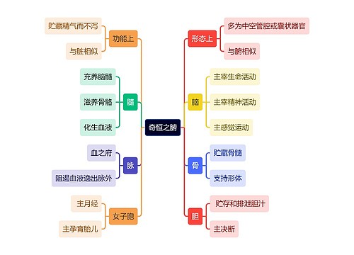 中医知识奇恒之腑思维导图