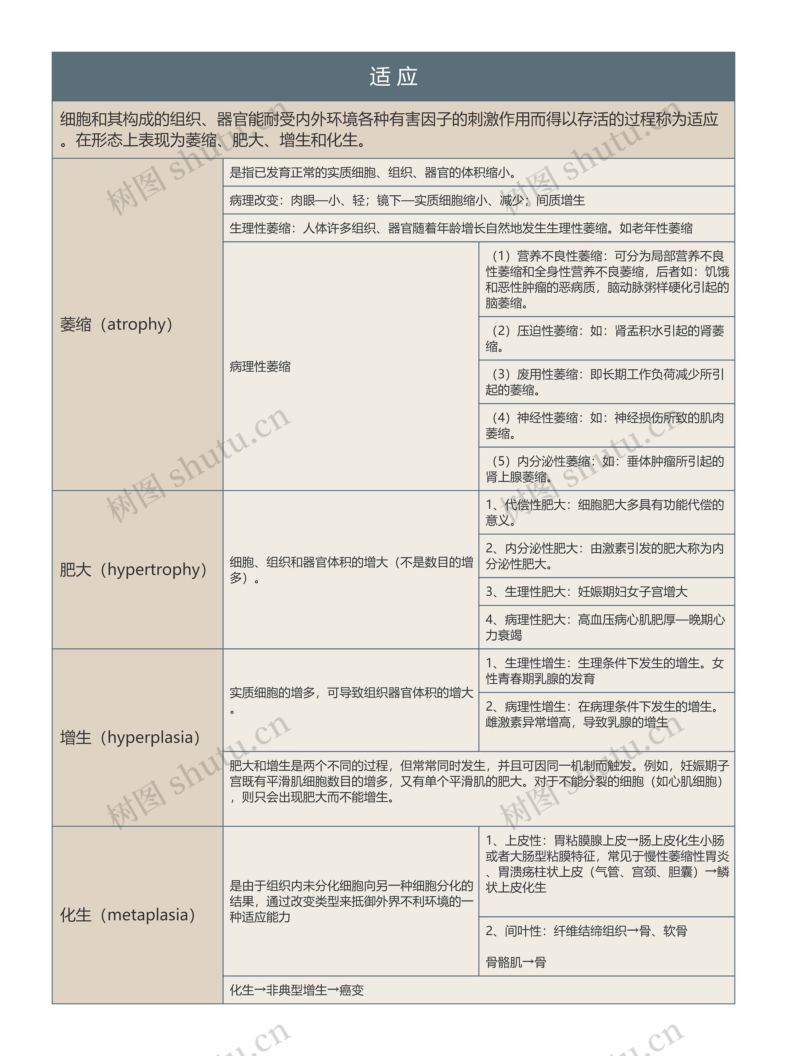 适 应的思维导图