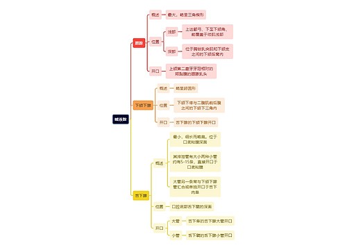 解剖学知识唾液腺思维导图