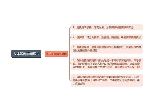 《人体解剖学知识六 胸膜与纵隔》思维导图