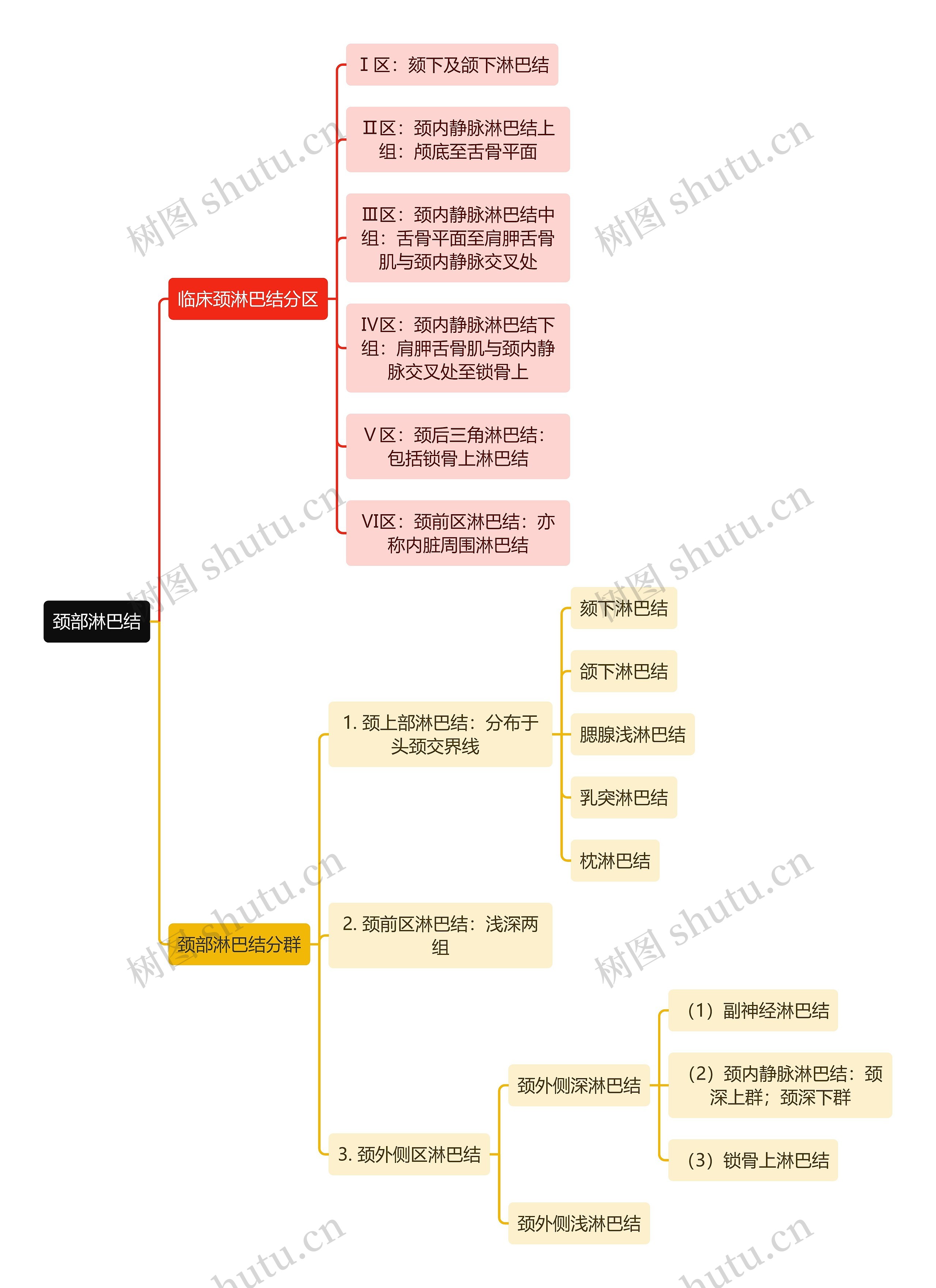 医学知识颈部淋巴结思维导图