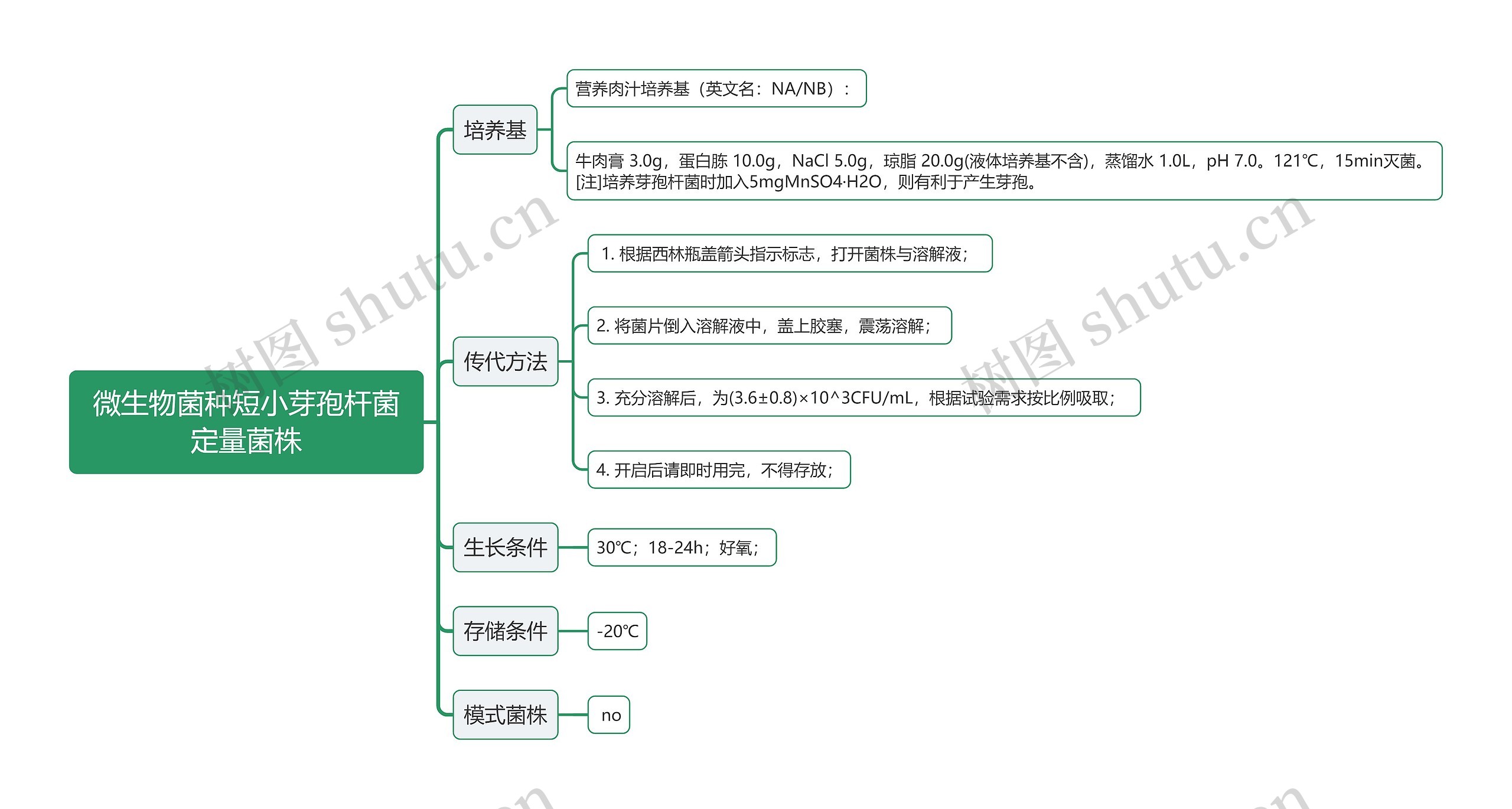 微生物菌种短小芽孢杆菌定量菌株思维导图