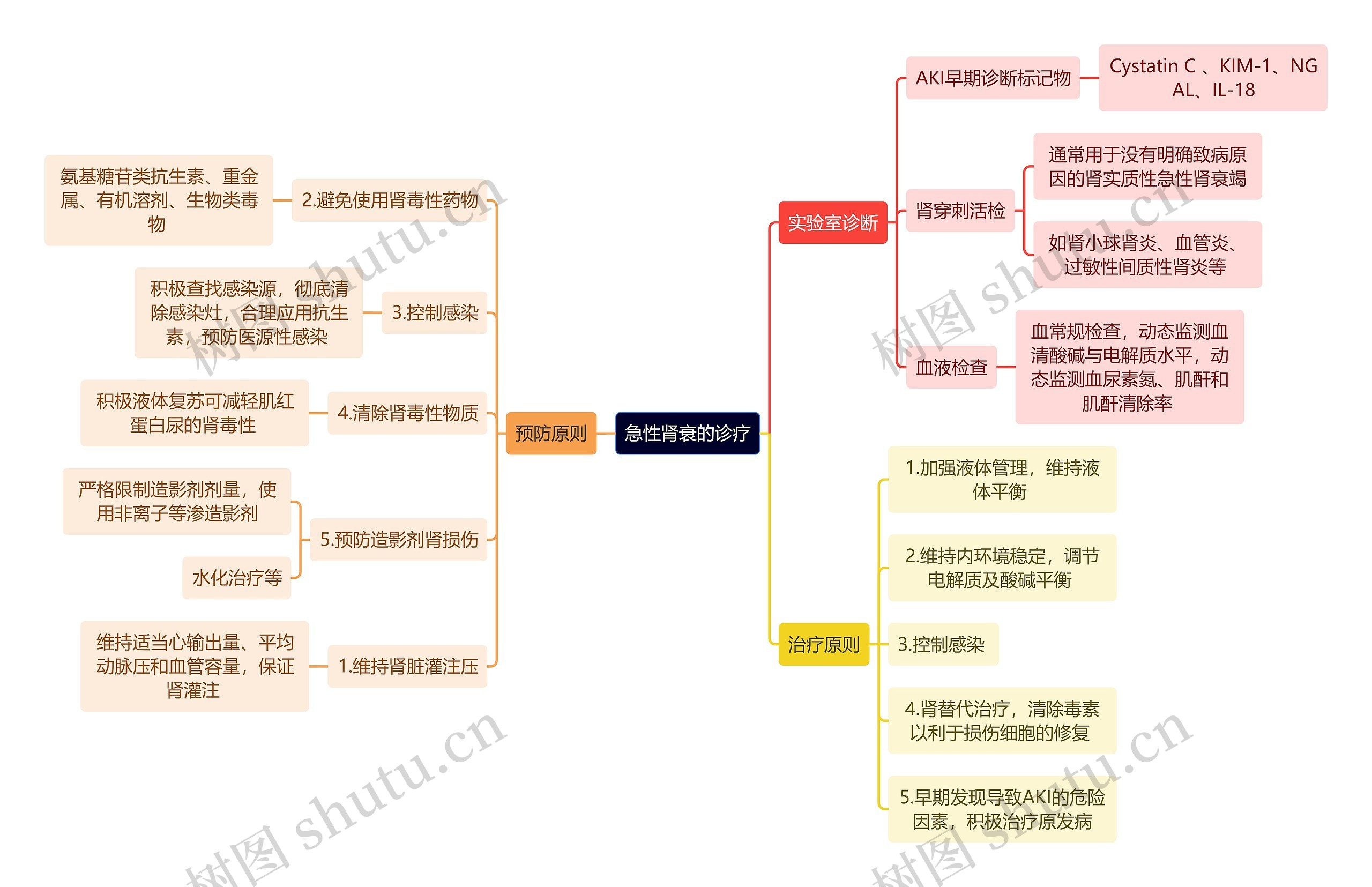 医学知识急性肾衰的诊疗思维导图