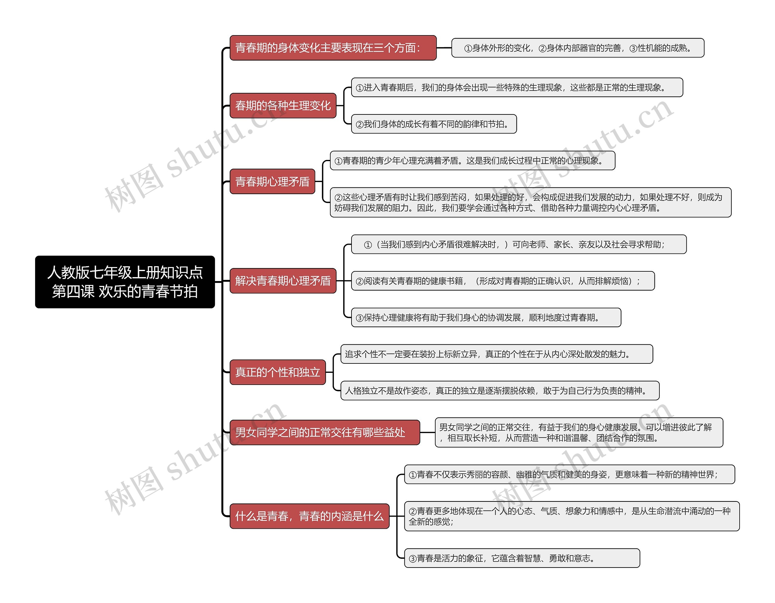 人教版七年级上册知识点第四课 欢乐的青春节拍