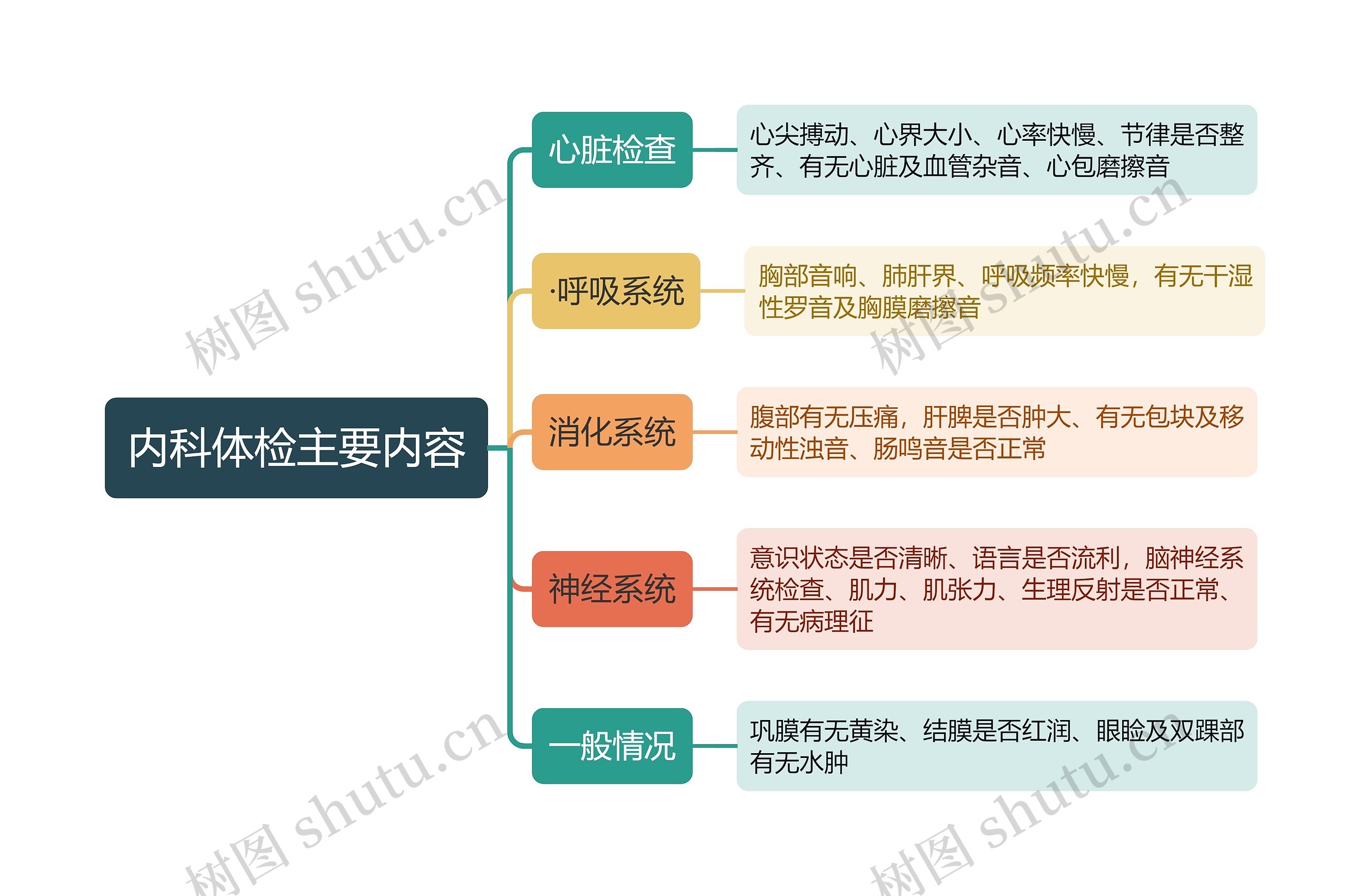 内科体检主要内容思维导图