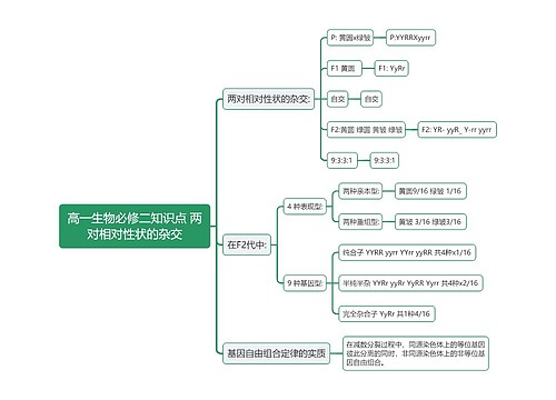 高一生物必修二知识点 两对相对性状的杂交