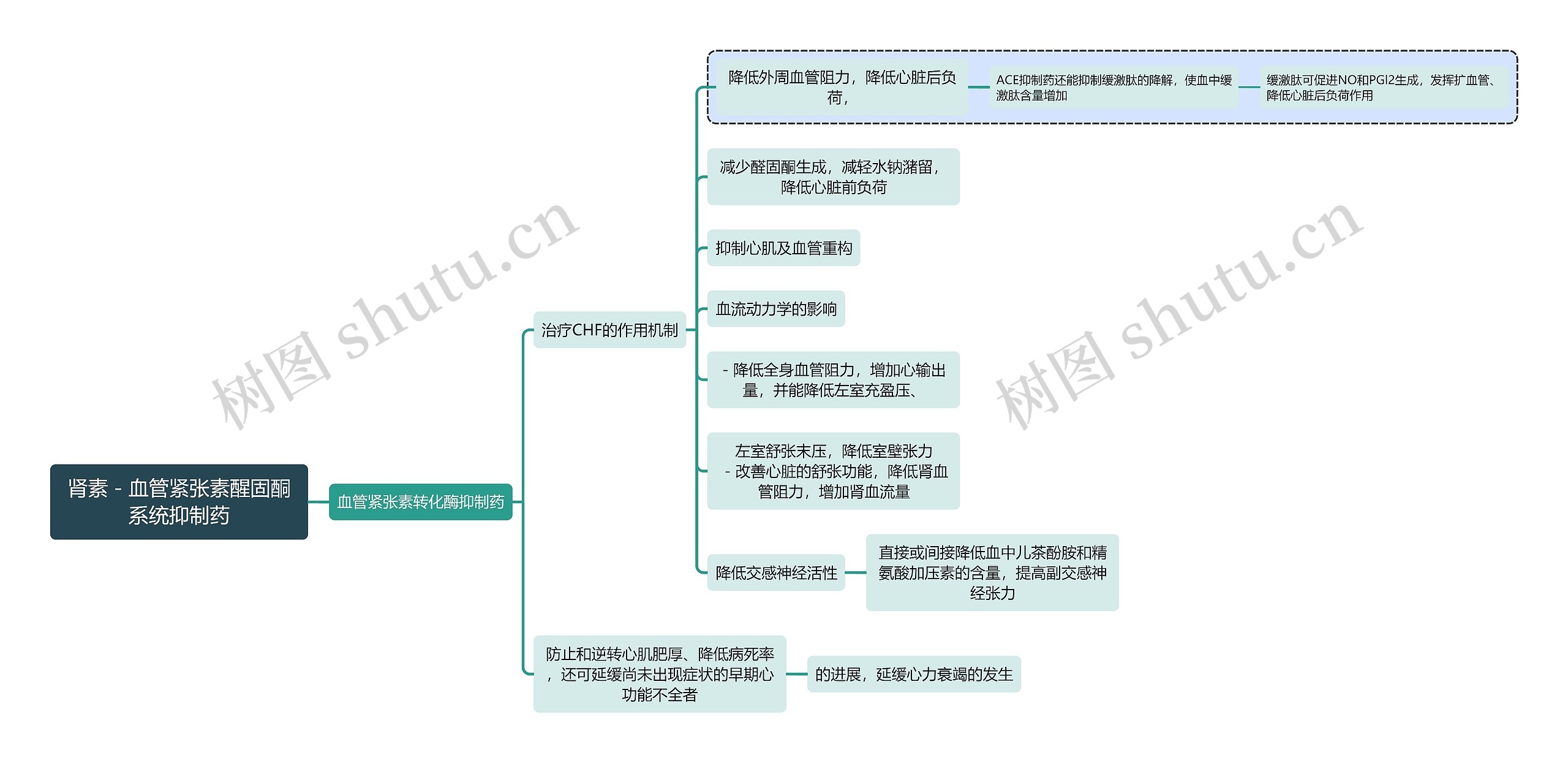 医学肾素-血管紧张素醒固酮系统抑制药思维导图高清图 医学肾素-血管紧张素醒固酮系统抑制药思维导图