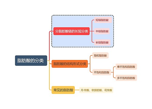 医学知识脂肪酸的分类思维导图