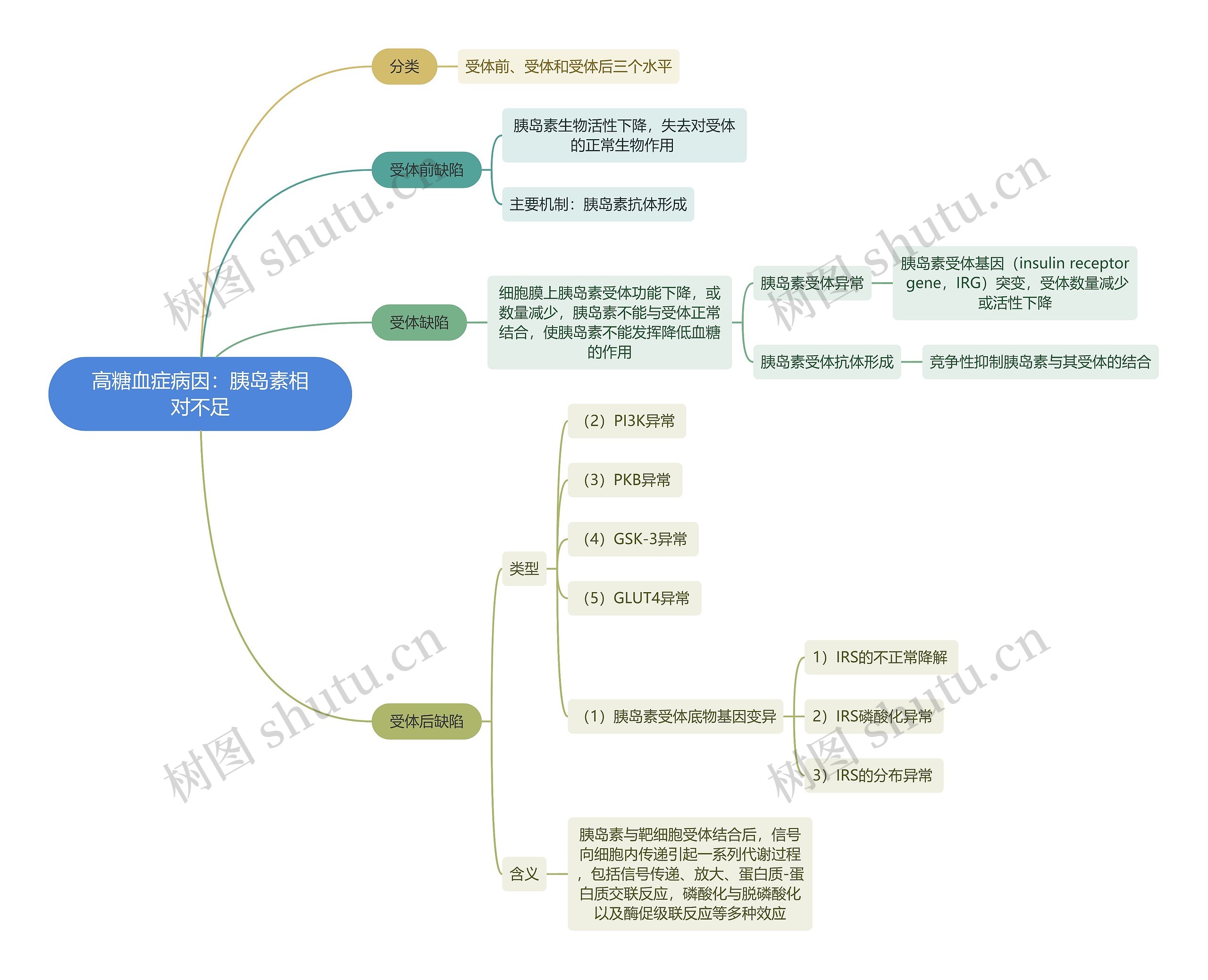 医学知识高糖血症病因：胰岛素相对不足思维导图