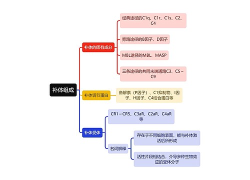 医学知识补体组成思维导图