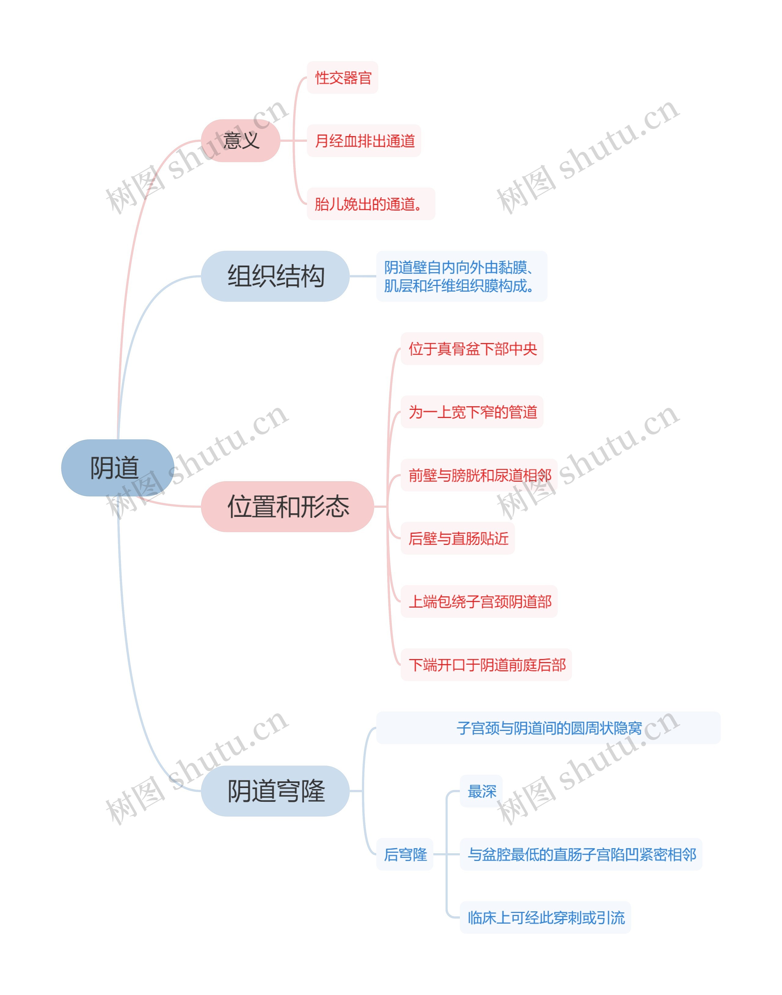 医学知识阴道思维导图