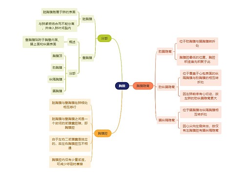 解剖学知识胸膜思维导图