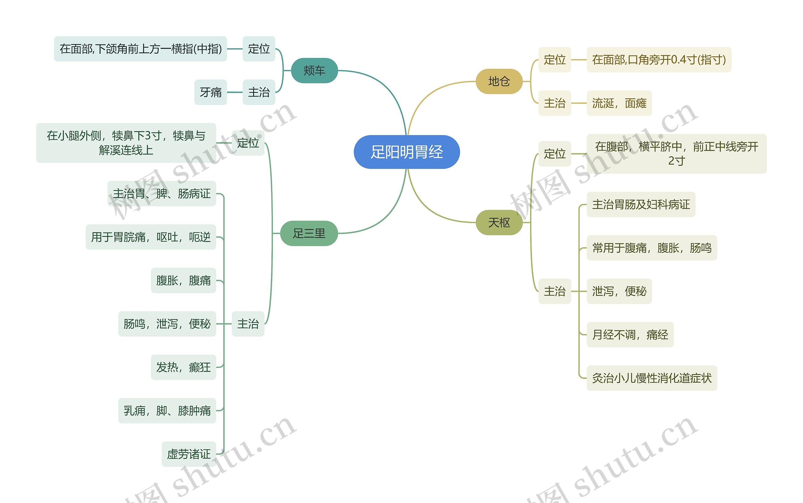 中医知识足阳明胃经思维导图