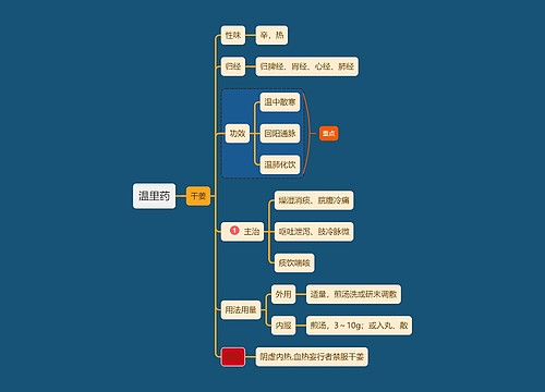 医学知识温里药干姜思维导图