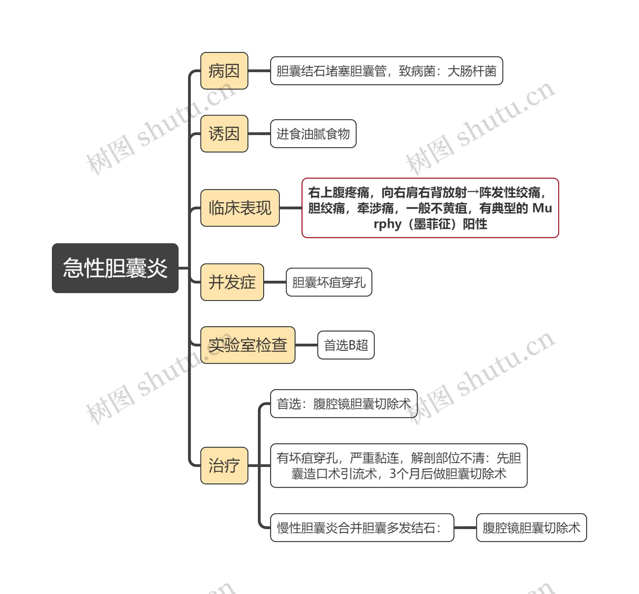 医学知识急性胆囊炎思维导图高清图 医学知识急性胆囊炎思维导图