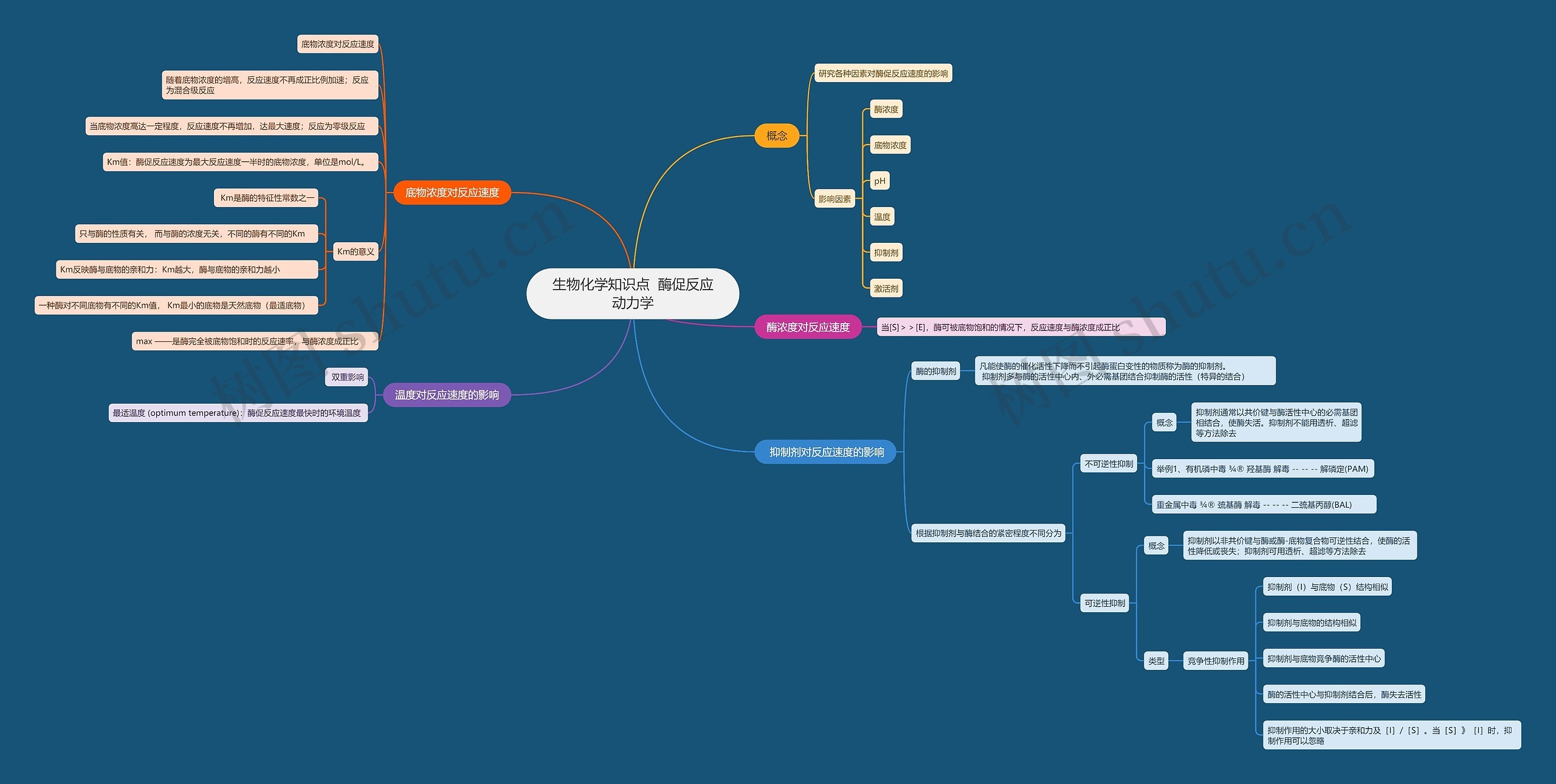 生物化学知识点 酶促反应动力学思维导图高清图 生物化学知识点 酶促反应动力学思维导图