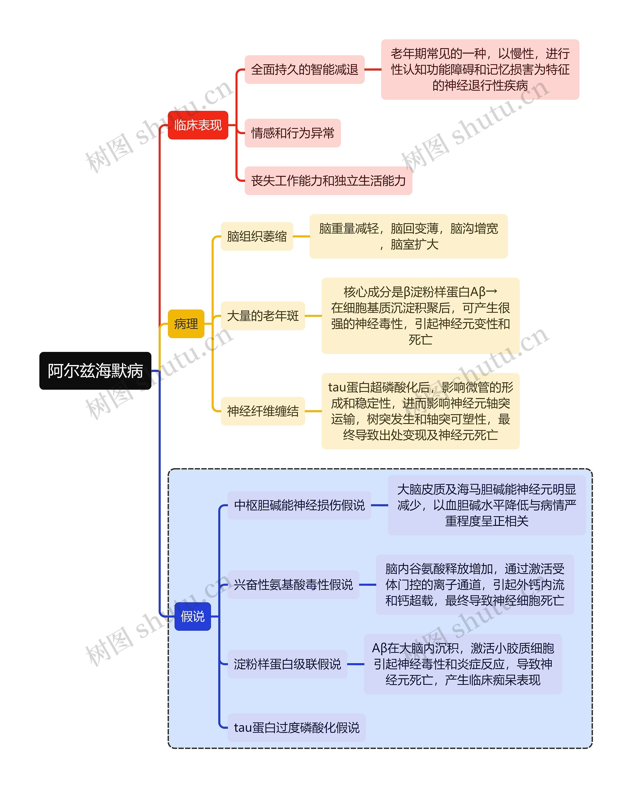 医学阿尔兹海默病思维导图