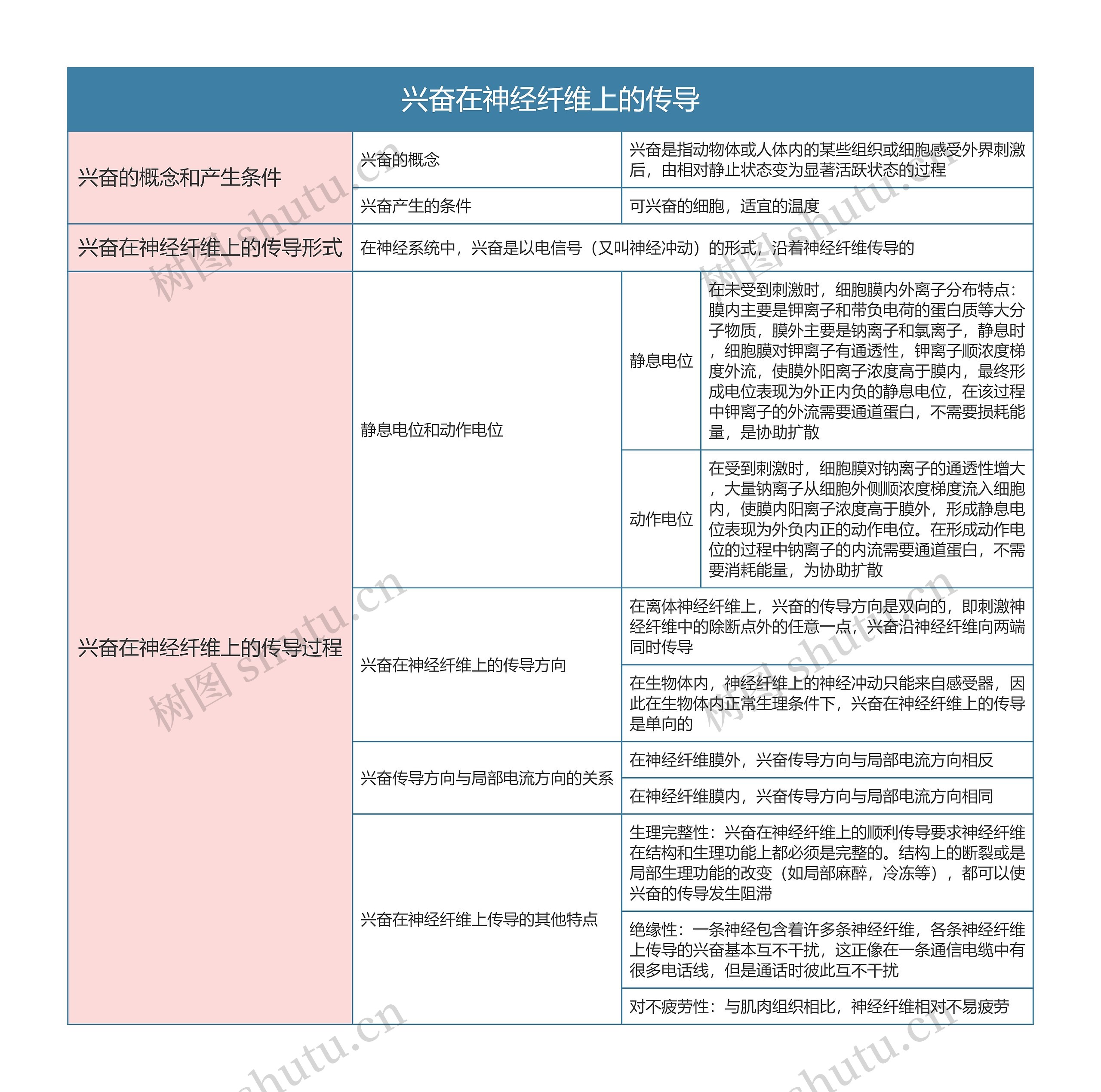 高中生物必修三兴奋在神经纤维上的传导思维导图